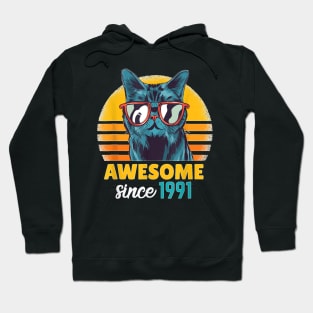 Awesome Since 1991   Funny Cat Lover 32Th Birthday Gift Hoodie